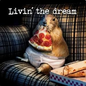 Meet your Posher, Raymond